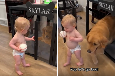 Mischievous Toddler Helping to 'Jailbreak' Dog From Crate Delights Internet