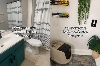 Woman Comparing Her Bathroom to the Cat's Shows Who Really Is in Charge