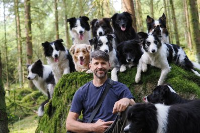 Man Ends Up With 13 Pet Border Collies As He 'Keeps Falling in Love'