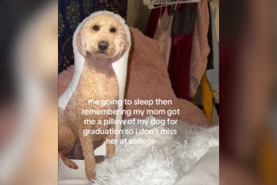 Internet in Stitches at How Mom Stops Daughter Missing Dog at College