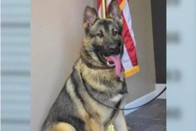 Beloved K-9 Officer Dies in Sweltering Hot Car, Community Demands Answers