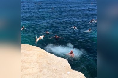 Crowd Looks on and Cheers as Tiny Dog Dives off Cliff Into the Sea