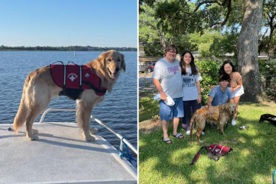 Dog Missing After Boat Accident Found Alive With His Life Vest On