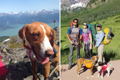 Couple Hiking In Europe Find Starving Dog, Now Lives Best Life In Colorado