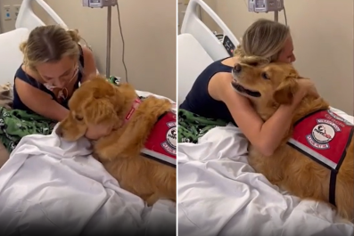 Therapy Dog Brings Woman to Tears Moments After Given Cancer Treatment News