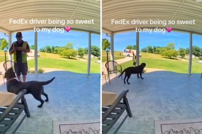 Doorbell Cam Captures What FedEx Driver Says to Labrador: 'So Sweet'