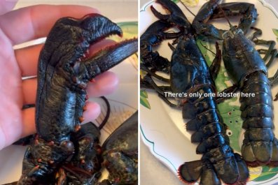 Man Captures Lobster, Then It Does Something He's 'Never Ever Seen' Before