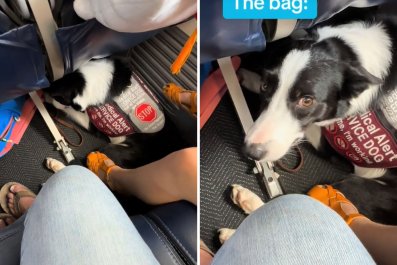 Plane Passenger Hilariously Films Her 'Bag' Which Won't Fit Under the Seat