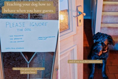 Woman Puts Sign on Door To Warn Guests About 'Rabid Muscle' Guard Dog