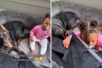 Mom Films Gentle Giant Doberman Acting as a 'Nanny' to Toddler Daughter