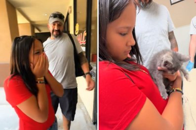 Little Girl's Reaction as Parents Give In, Finally Let Her Adopt a Cat