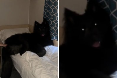 Mom Shares Cute Video of Kid, Internet Distracted by 'Monster' on the Bed