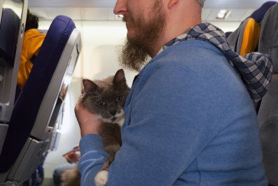 Passenger Brings Cats to Airport, the Security Gate Experience Is Priceless