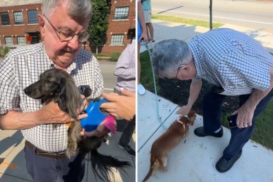 Woman Takes Grandpa to Special Dachshund Meet-UpâHis Reaction Is Everything