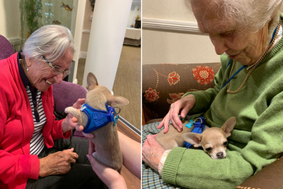 Moment Retirement Home Residents 'Light Up' as Tiny Dog Pays Surprise Visit