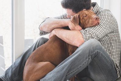 Rescue Dog Meeting New Owner's Boyfriend Is So Perfect It Could Be Scripted