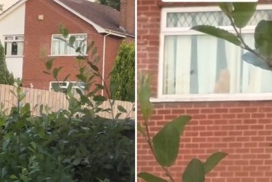 Woman Looks in Neighbor's Window, Sees Her Cat in There: 'Mocking Me'