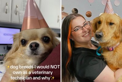 Vet Tech Reveals the 15 Dog Breeds She Would Never Ownâand Why