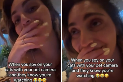 Cat Owner Checks Her Pet Cam While Out, Unprepared for What She Sees