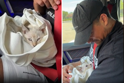 Kitten Saved From Hurricane Beryl Adopted by Rescuers: 'Your Baby Now'