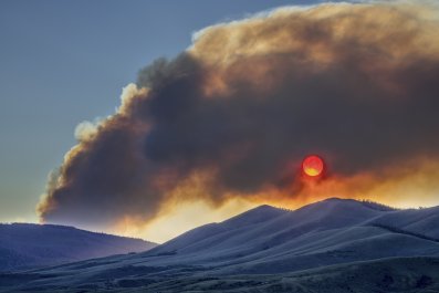 Warning Issued To Pet Owners As Wildfire Impacts Colorado Reservoir