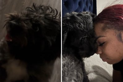 Woman Realizes Her Dog Isn't Bad, He Just Doesn't Speak English