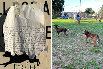 Six Puppies Abandoned in Pennsylvania Dog Park With Heartbreaking Note