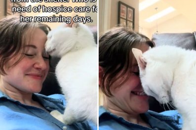 Woman Adopts 20-Year-Old Cat Needing Hospice CareâThanked in the Cutest Way