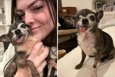 Woman Takes Chance Adopting 16-Year-Old Dog, Was 'Best Decision Ever'