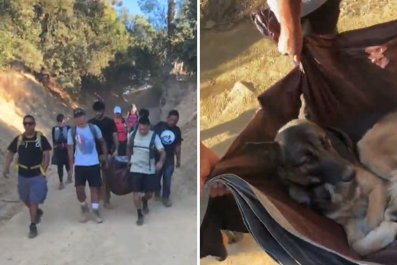 Hikers Rescue German Shepherd Abandoned on LA Trail, Carry Him 3 Miles Down