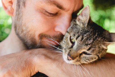 Obsessed Cat Who 'Guards' Owner's Husband From Her Has Internet in Stitches