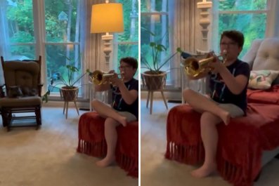 Cat's Priceless Reaction to 6th-Grader Learning the Trumpet 'Is All of Us'