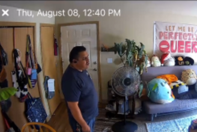 Woman Checks Pet Cam, Can't Believe What Maintenance Man Is Doing With Cat