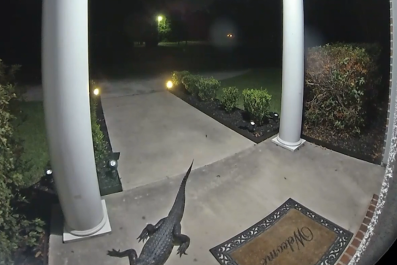 Man 'Shocked' At What Doorbell Cam Captures Lurking On Porch Late One Night