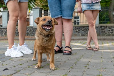 Internet Invested in Dog's 'Social Life' That Owner Doesn't Know About