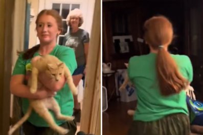 Barn Cat Gets 'Promoted' After What Woman Discovers in Bedroom