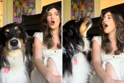 Woman Sings Haunting 'Titanic' Theme Song, Dog Joins In for Mournful Duet