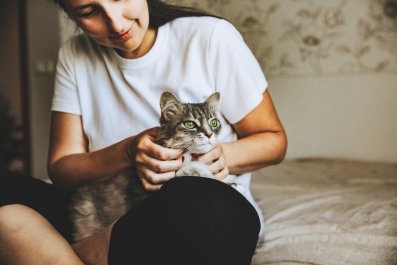 Moment Cat Sits on Owner's Lap for the First Time After 3 Years Together