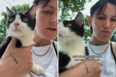 Stranger Shoves Cat onto Person Waiting for Chicago Train and Leaves: 'Help'