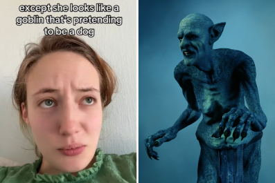 Woman Baffled by Dad's New Pet, a 'Goblin That's Pretending To Be a Dog'