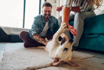 Couple Fall In Love With Stray Puppy On Vacation, Decide To Fly Her Home