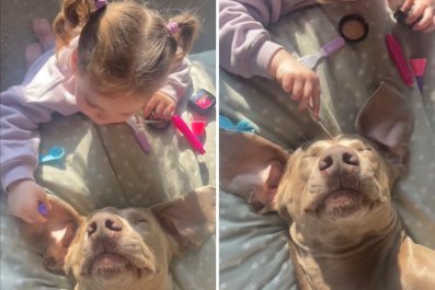 Watch 'Two Gentle Souls' as Little Girl Gives Dog Best Friend a Spa Day