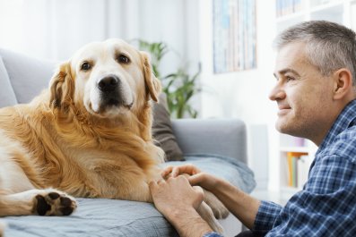 Moment Dog Shows Owner's Boyfriend He Has 'Zero Authority' at Her Home