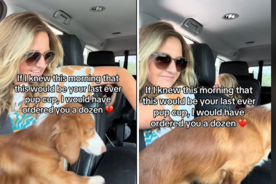 Woman Unknowingly Captures Dachshund Enjoying His 'Last Ever' Pup Cup