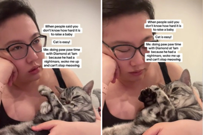 Woman Compares Looking After Her 'Toddler'-Like Cat to Motherhood