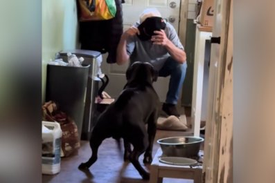 Dog Reunited With Grandpa After 6 Months Apart Can't Hide His True Feelings