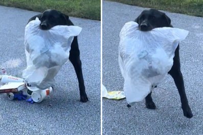 Neighbor's Dog Greets Woman on Morning Walk With Trash Bag, Chaos Ensues