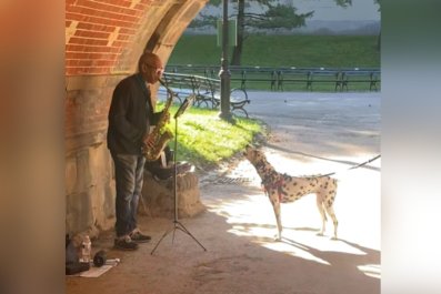 Dalmatian Spots Musician Performing in Public, Can't Help but Sing Along