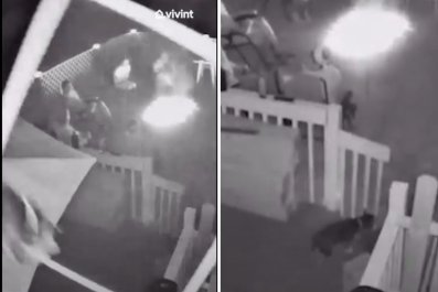 Security Cam Captures Shocking Moment Dog Jumps Out of Second-Story Window