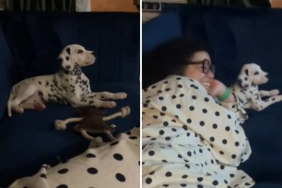 Polka-Dot Puppy Watches '101 Dalmatians' With Owner in Matching PJs